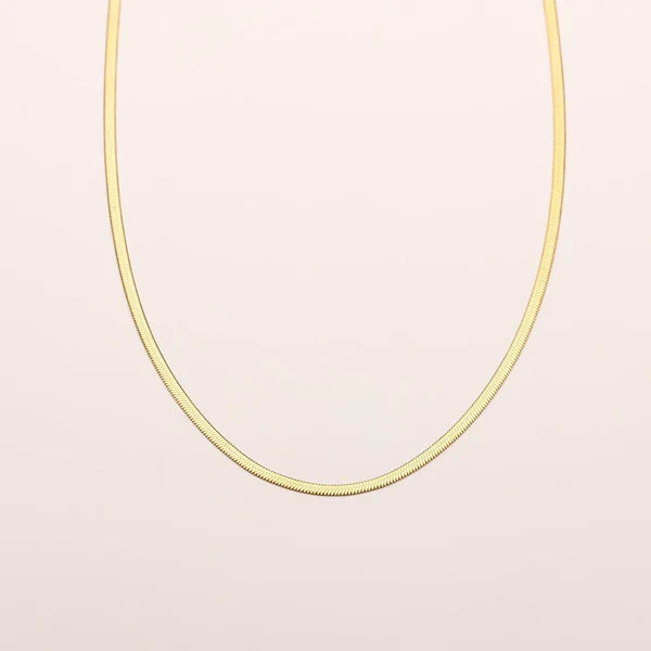 Cleo Herringbone Necklace featuring a smooth, shiny chain with timeless elegance.

