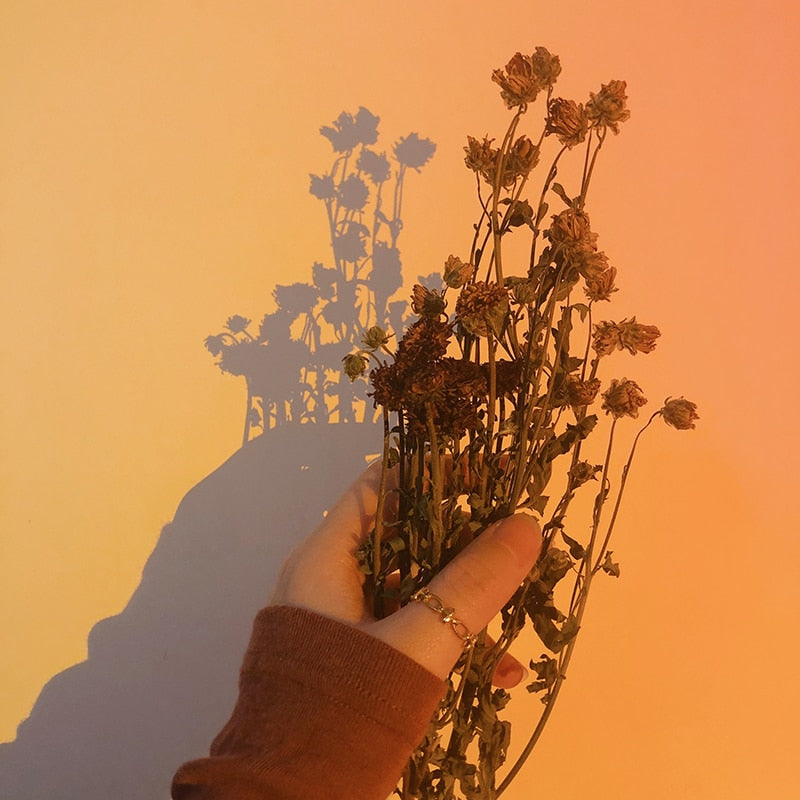 Image of the Infinity Ring – a delicate 18K gold stainless steel ring with the iconic infinity symbol, elegant and perfect for daily wear.

